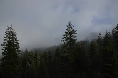 DSC_0872 (Large).JPG